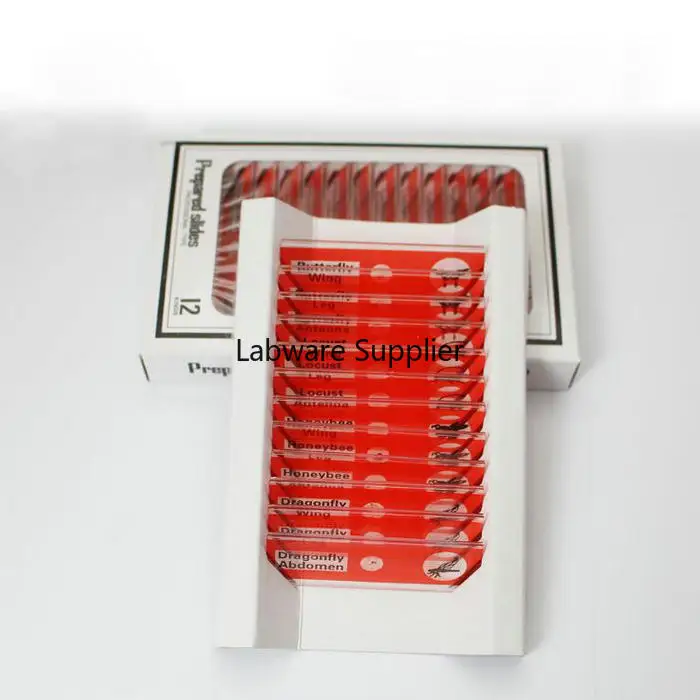 Бесплатная доставка 4 коробки/упаковка/партия пластиковые слайды для микроскопа