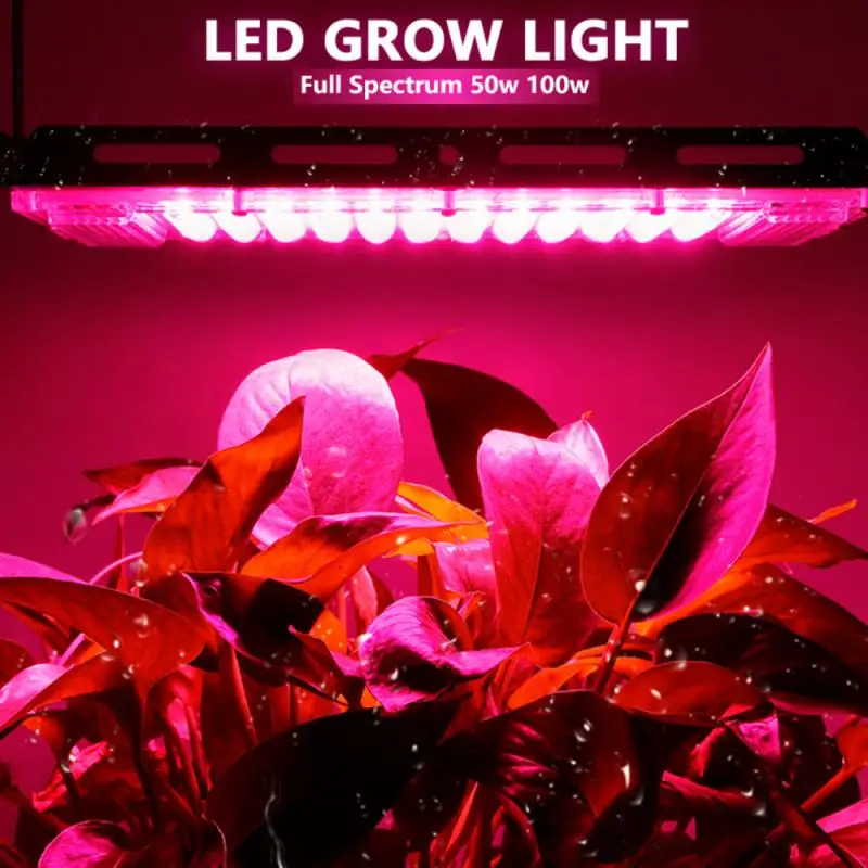 

LED Grow Light Full Spectrum Phyto Lamp For Plants 50/100W 220V Grow Lamp Phytolamp Seed Greenhouse Hydroponic Growth Lighting
