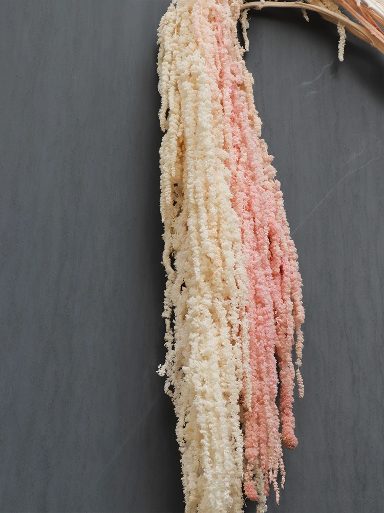Розовые/белые вечные Amaranthus Red Millet сухие натуральные свежие цветы букет длинные