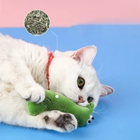 teeth grinding catnip cat toy funny plush kitten mint toys interactive pet chewing vocal bite pillow pet suppliers