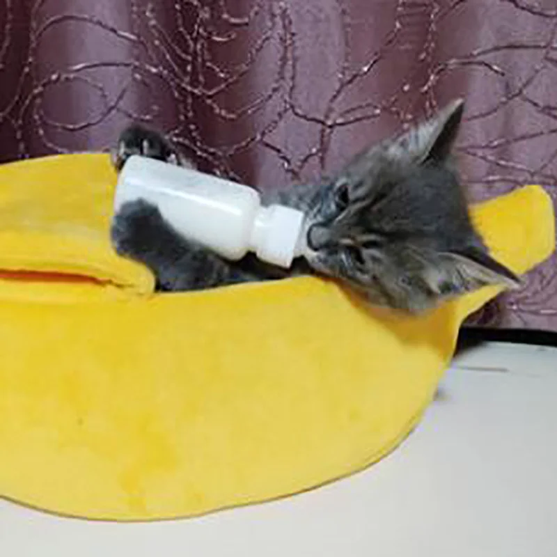 Банановая кожура кошка дом милый вид банан кровать для кошки котята домашних