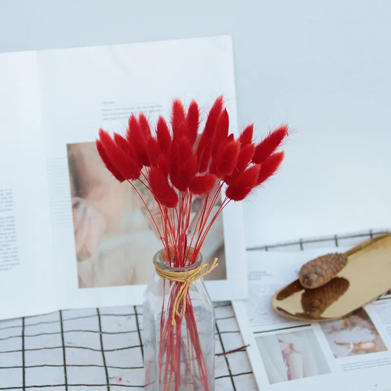 

20pcs Gradient Lagurus Ovatus Natural Dried Flowers Bouquet DIY Wedding Home Christmas decoration Rabbit Tail Grass Real Flowers