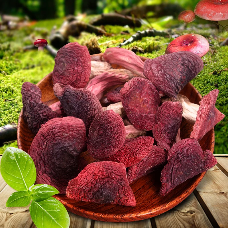 Reusula Vinosa linblad, reusula Vinosa, setas Rojas-0