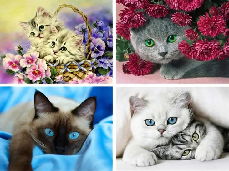 Алмазная живопись алмазная вышивка 5d полноразмерная картина сделай сам животные