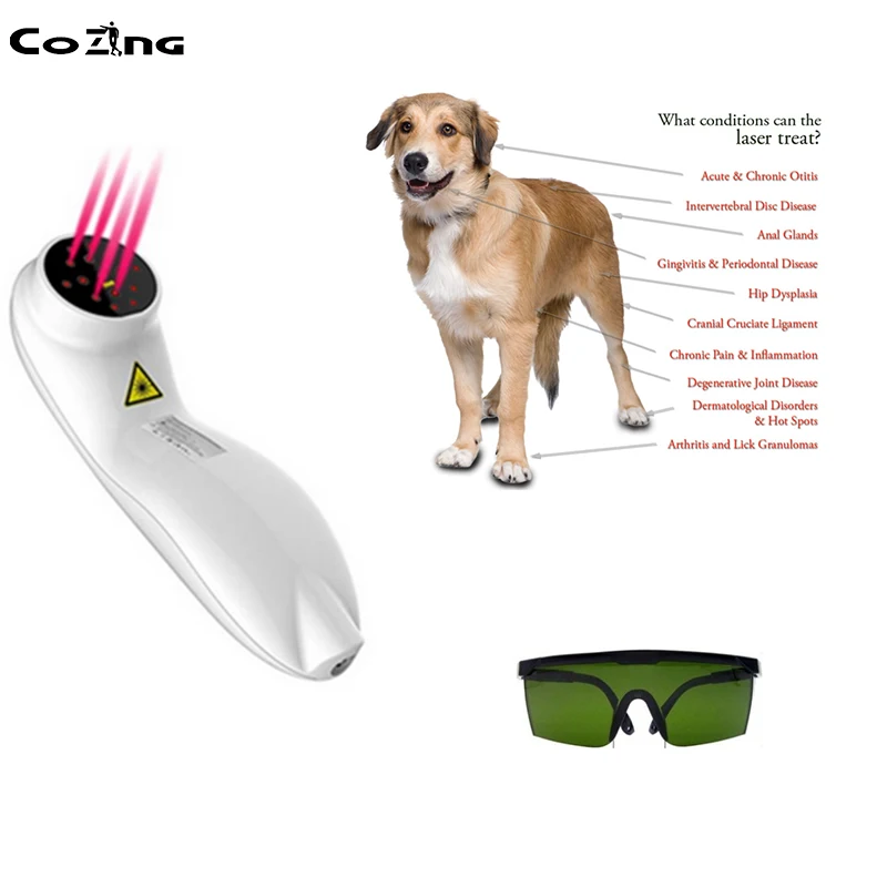 

Wound Healing Cold Laser Therapy Device For Pain Relief LLLT laser Treat Dogs With Hip Dysplasia And Canine Arthritis