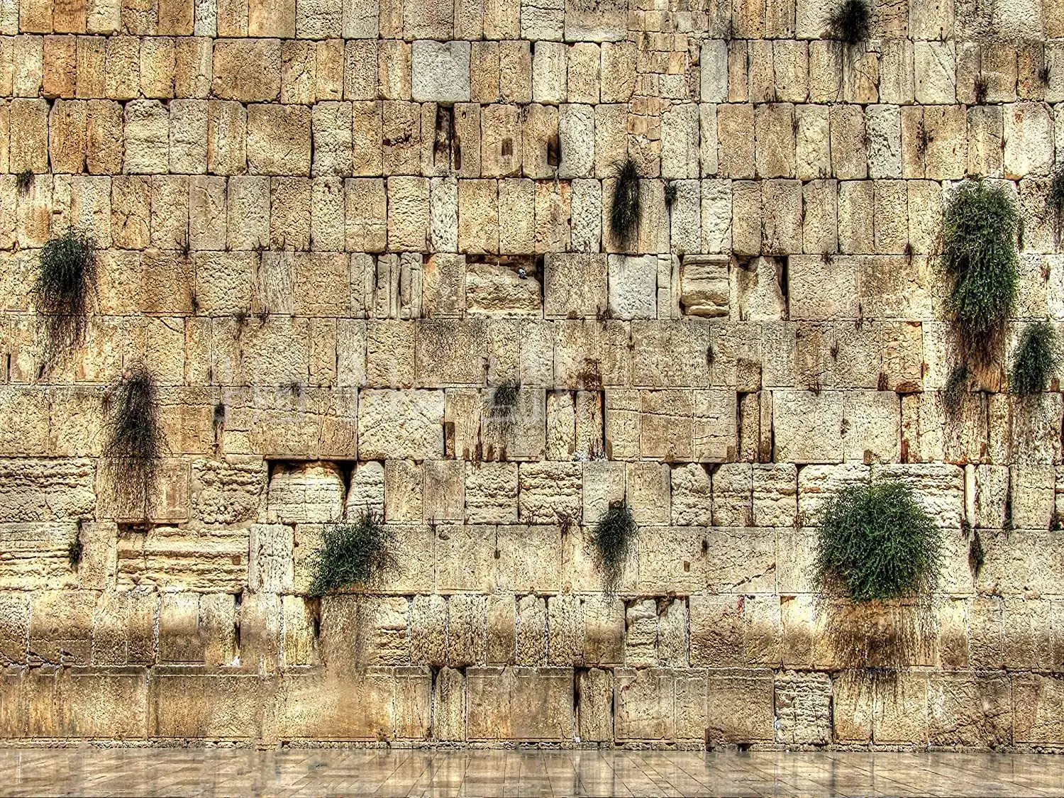 

Tapestries Decorate Rooms In The City Of Jerusalem On The Western Wall