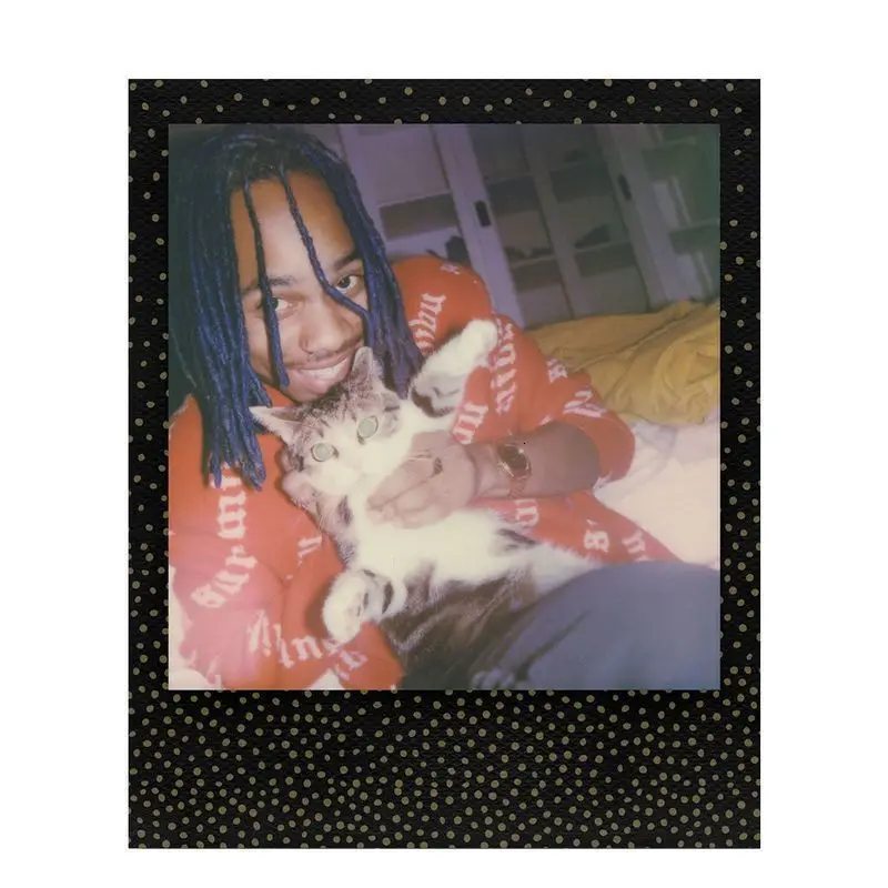 Пленка Polaroid Originals Instant 600 цвет черно-белый для камеры Onestep2 Instax SLR680 636 637 640 650 660 Автофокус невозможен