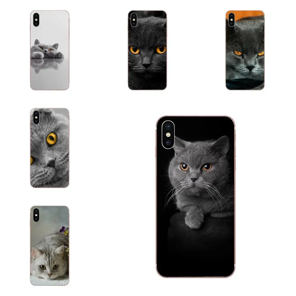 Британский короткошерстный Топ для LG K50 Q6 Q7 Q8 Q60 X Power 2 3 Nexus 5 5X V10 V20 V30 V40 Q Stylus мягкие