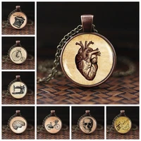anatomical heart necklace vintage jewelry anatomy heart glass dome cabochon pendant bronze long chain necklace women