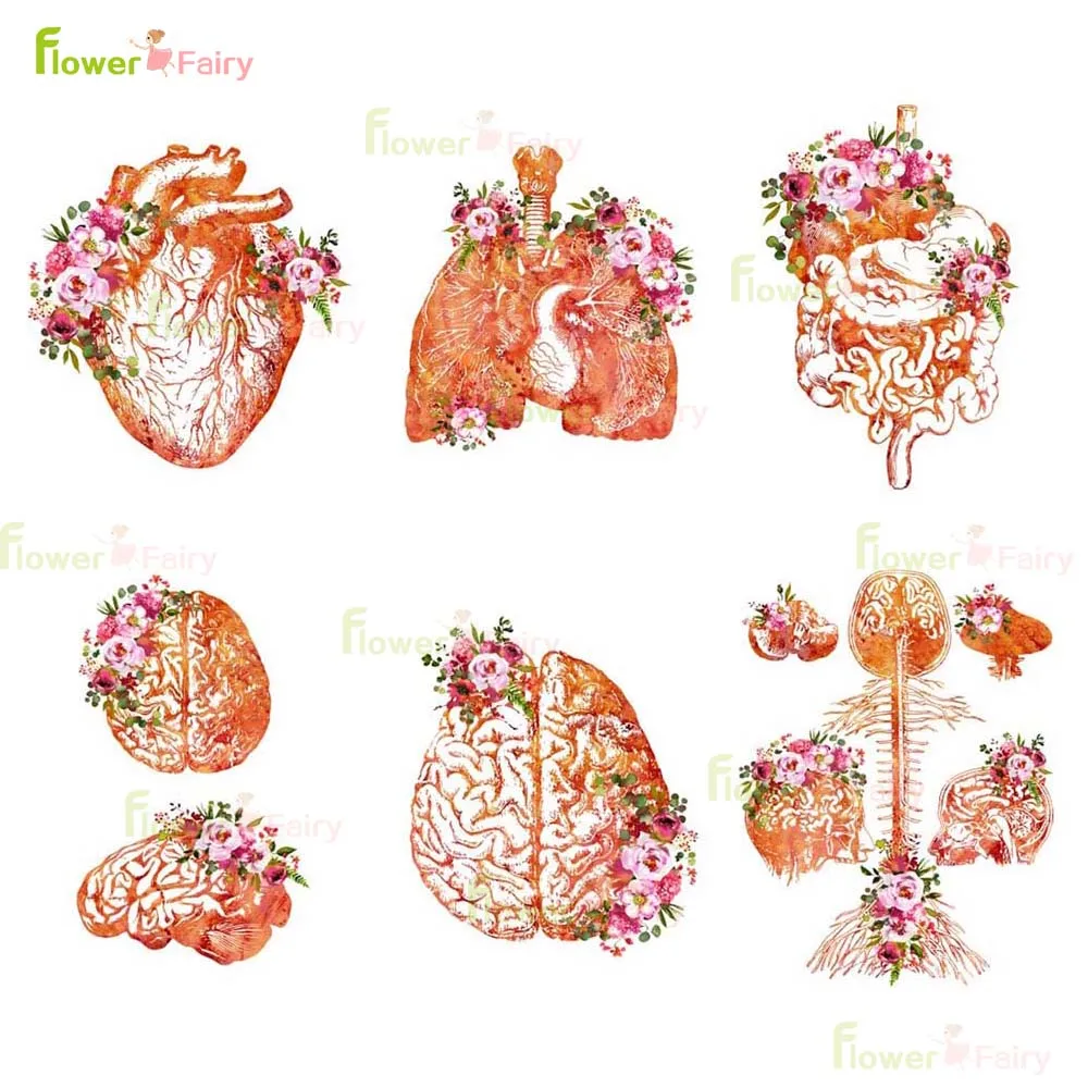 

Organ Heart Brain Lung Humanity Nordic Poster Haslet Wall Art Canvas Painting Wall Pictures For Living Room Decor Unframed