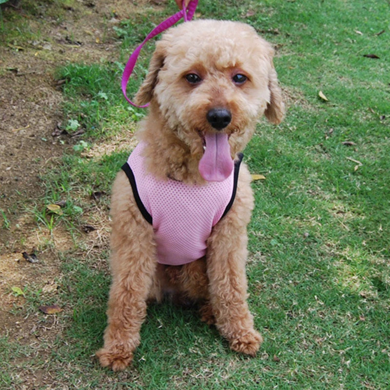 Летняя одежда для собак однотонная сетчатая Повседневная жилетка домашних