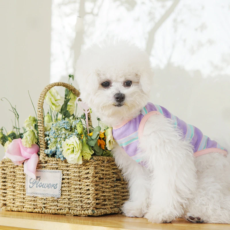 

2021 жилет для собак, летняя мультяшная одежда в полоску для маленьких и средних собак, костюм, пальто, искусственная одежда для щенков, мягкая...