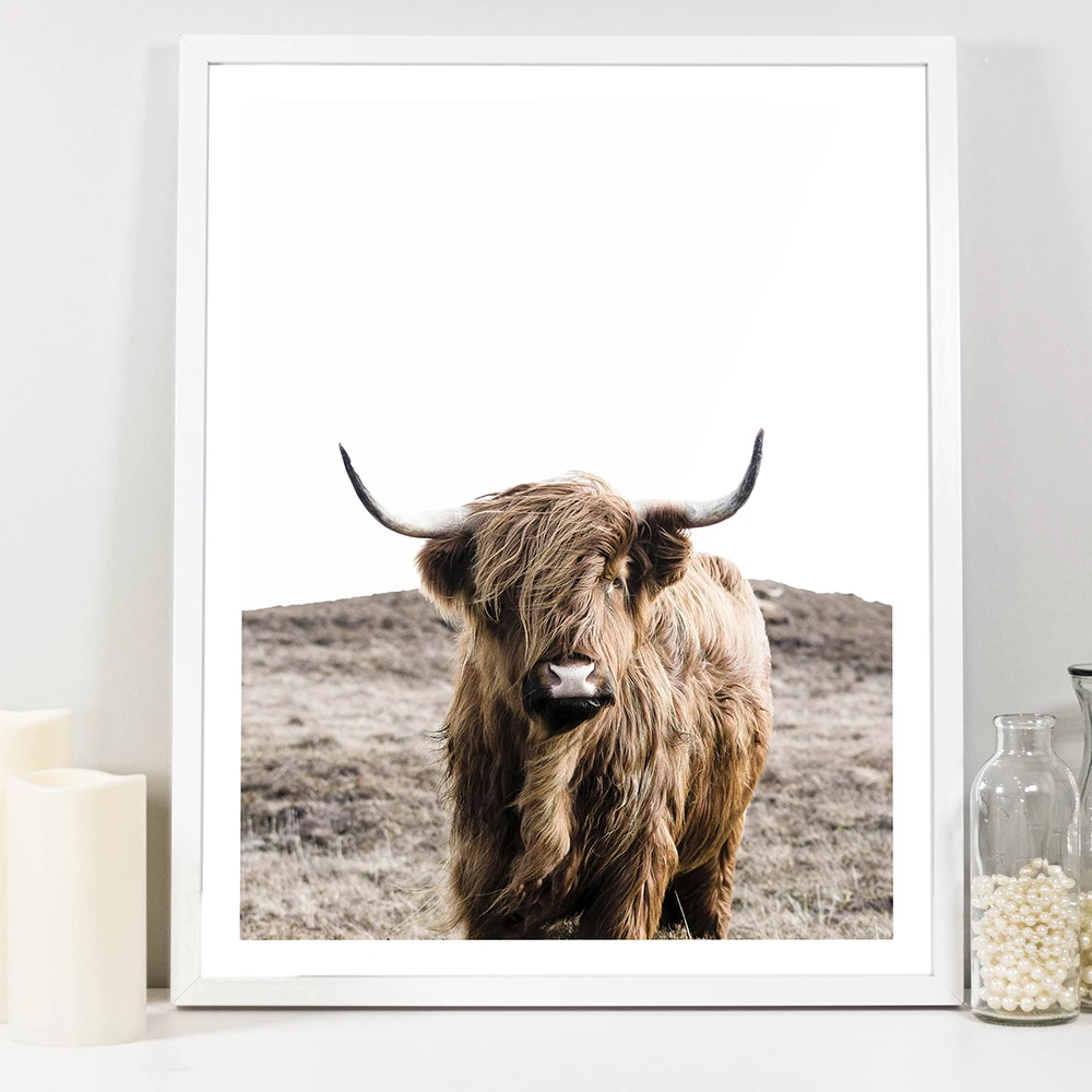 Скандинавский постер с изображением животных буйвола Картина на холсте