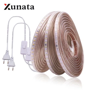 Светодиодная лента 220 В 3014 SMD, водонепроницаемая светодиодная лента 120 светодиодовм для улицы, Светодиодная лента, белыйтеплый белыйсиний переключатель питания с вилкой европейского стандарта