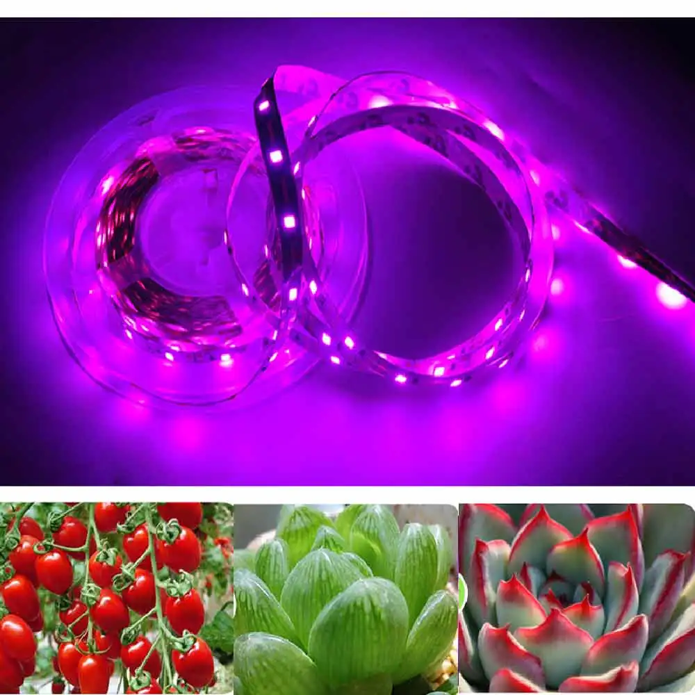 

LED Grow Light LED Strip Light 1m 2m 3m 5m Full Spectrum Chip SMD 2835 LED Phyto Lamp For Greenhouse Hydroponic Plant Growing