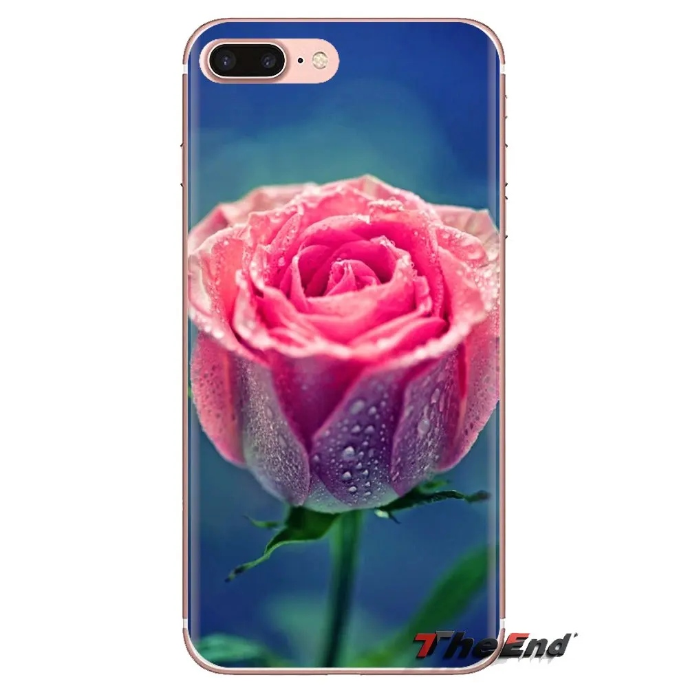 Розовые Блестящие розы обои прозрачные мягкие чехлы Чехлы для iPod Touch Apple iPhone 4 4s 5 5S