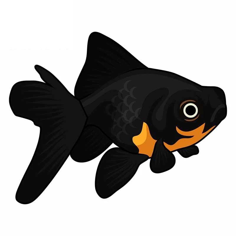 

JuYou Funny Stickers Exterior Accessories Fish Creative Car Sticker Auto Air Conditioner Waterproof Decal Suitable for VAN RV