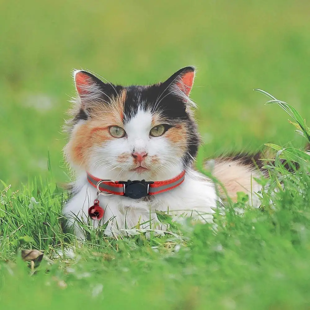 

Reflective Puppy Dog Cat Adjustable Collar Release Buckle Neck Strap Pet Supply