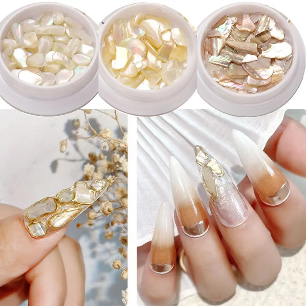 

1Box 3D Mixed Size Natural Shell Fragments Nail Sequins Nail Jewelry Nail Art Decoration