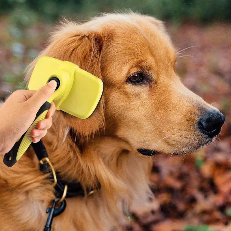 

Pet Grooming Brush, Self-Cleaning Slicker Brushes, Best Shedding Tools For Grooming Cats And Dogs With Long Thick Hair