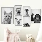 Настенная картина со смайликом для детской комнаты, смешное изображение кота, собаки, черно-белого цвета, скандинавские постеры и принты для декорирования стен