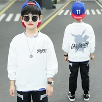 cool spring summer girls clothing suits%c2%a0sweatshirts%c2%a0pants 2pcsset kids teenager outwear sport cotton formal high quality
