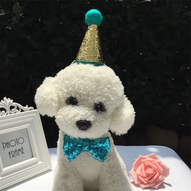 Собака на день рождения шляпа галстук бабочка с рисунком собачки и котика