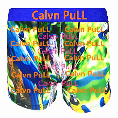 BB Новое поступление топы бренд calvn pull пляжное нижнее белье мужские боксеры шорты сексуальные Фламинго взрослые трусы быстросохнущие s m l xl - Цвет: BB