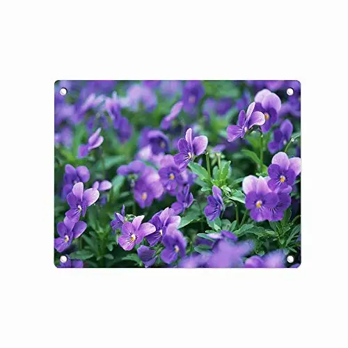 

Playdiss Purple Orange Tulips Flowers DIY Wall Art Metal Tin Sign Farmhouse Home Kitchen Bedroom Dining Room Bathroom Decor