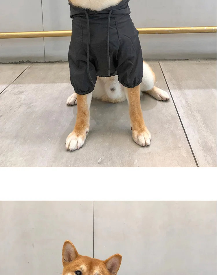Мода perro ropa mascota lluvia abrigo al aire libre sólido con capucha impermeable mascota perro cachorro chaqueta
