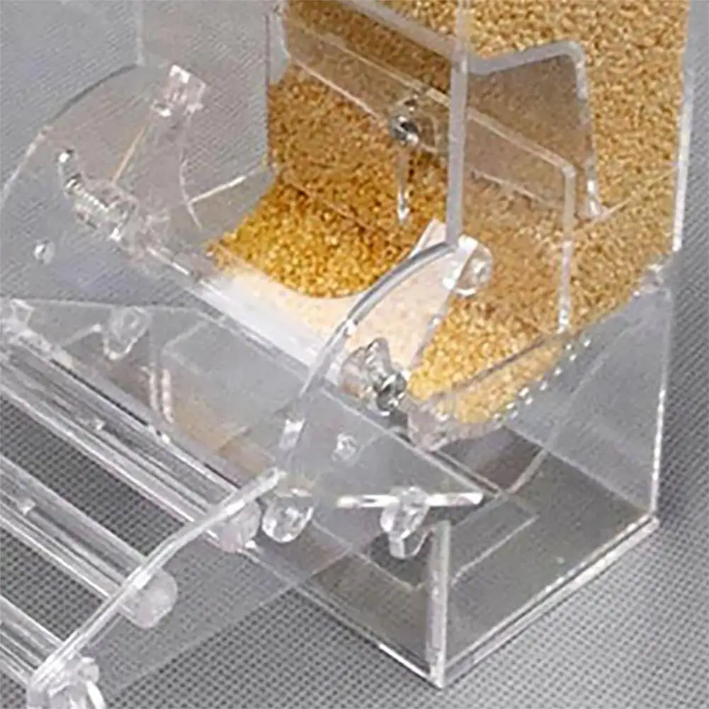 Yfashion Transparent Automatic Feeder for Mini Pet Birds Myna Parrots