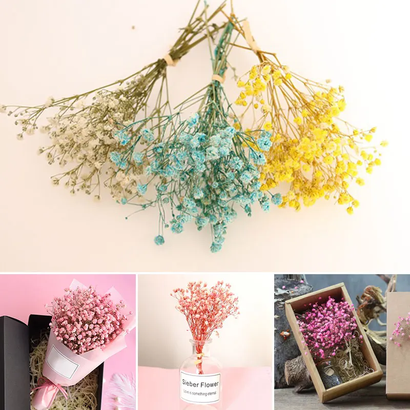 Искусственные Гипсофилы, декоративные сухие цветы, миниатюрные консервированные цветы, букет для фотосъемки, декорация для дома