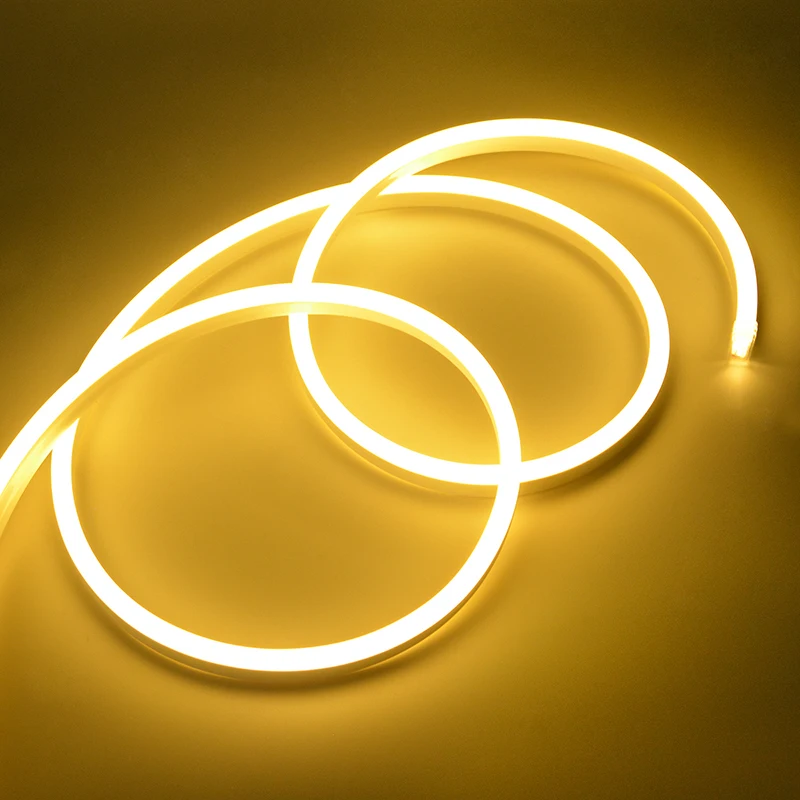 

Neon Light LED Strip Flexible Rope Tube Lamp Waterproof For Closet Wardrobe Cupboard Backlight Home Living room Bedroom Decor