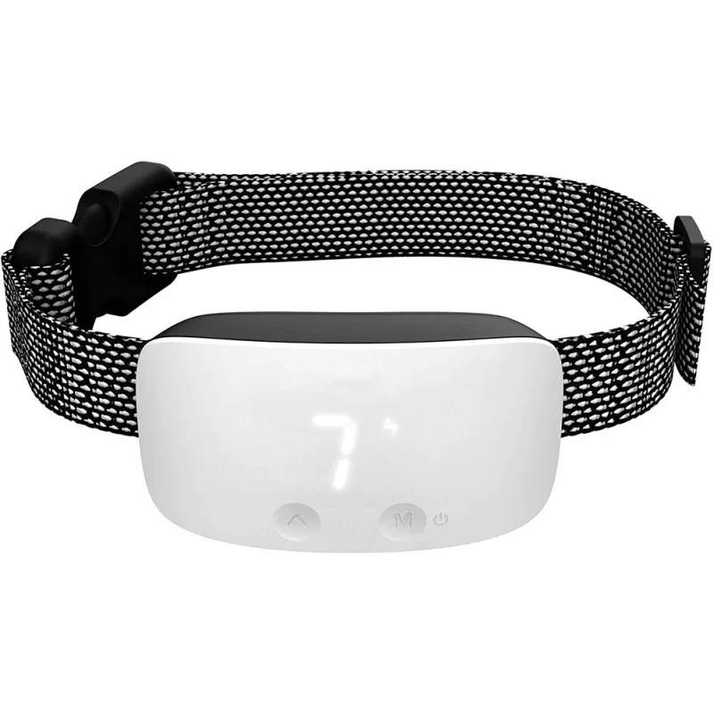 

Pet Products