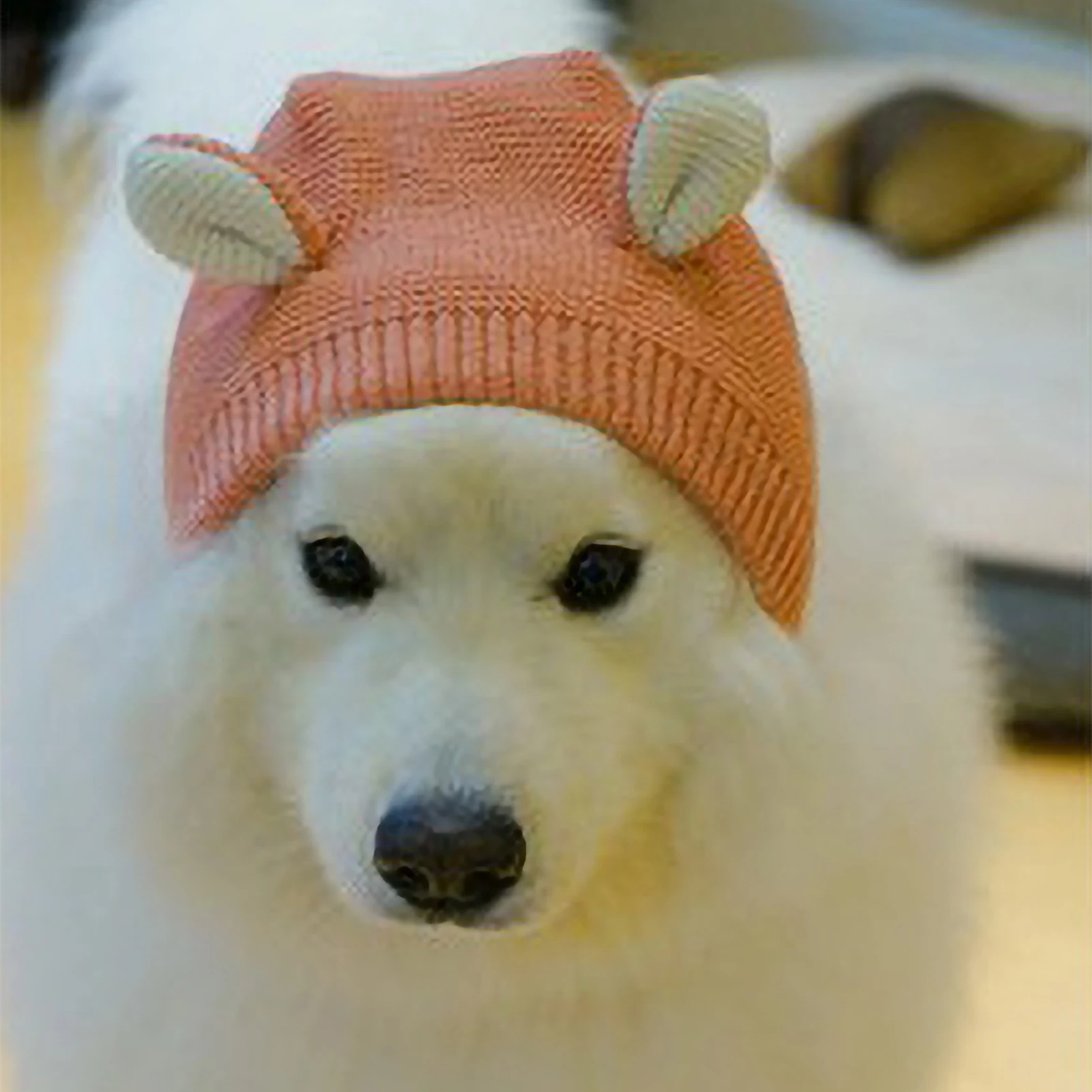 

Dog Hat Knitted Quiet Ears For Dogs Soft And Comfortable Dog Knitted Hat Neck And Ear Muffs Lovely Pet Christmas Warm Caps Windp