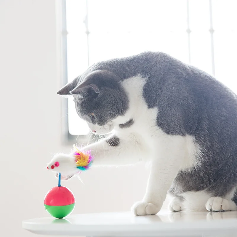 Фото Забавная мышь игрушки неваляшки для мяч котов интерактивные кошки котенок игры