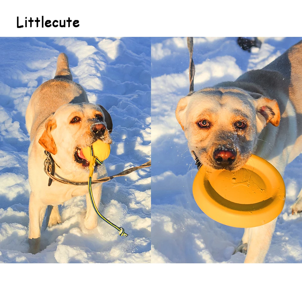 Amphibious Dog Toys Ball with Rope/Flying Discs/Chew Toy Ring EVA Pet For dogs Interactive Small/Large Dogs Cats | Дом и сад