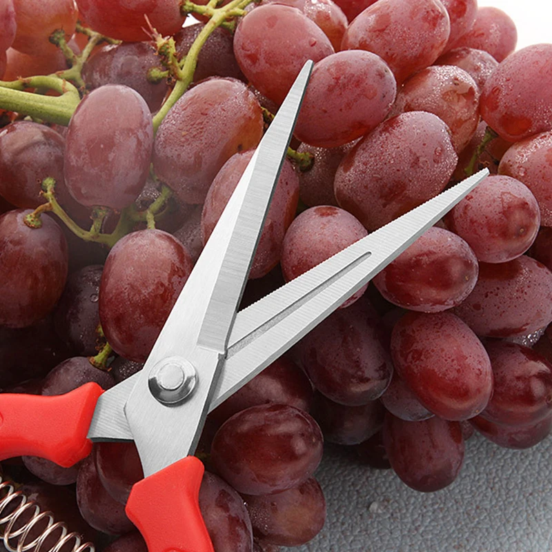 Прямые лезвия Обрезной инструмент для садоводства и ножницы ножничный секатор