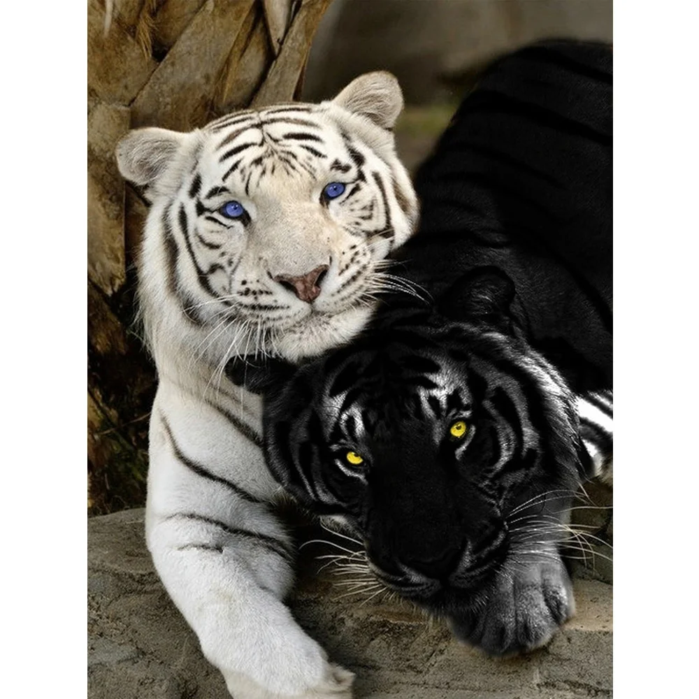 5D DIY алмазная живопись черный и белый тигр полная дрель квадратная/круглая