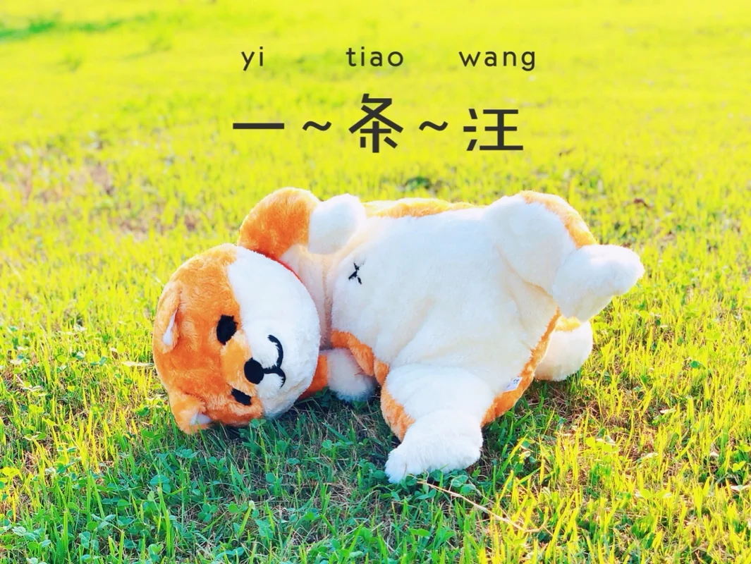 

80CM lovely Shiba Inu & Cat Plush Toys Long Animal Dog&Cat Pillow Stuffed Toy for Children Baby Sleep Cushion Birthday Gift
