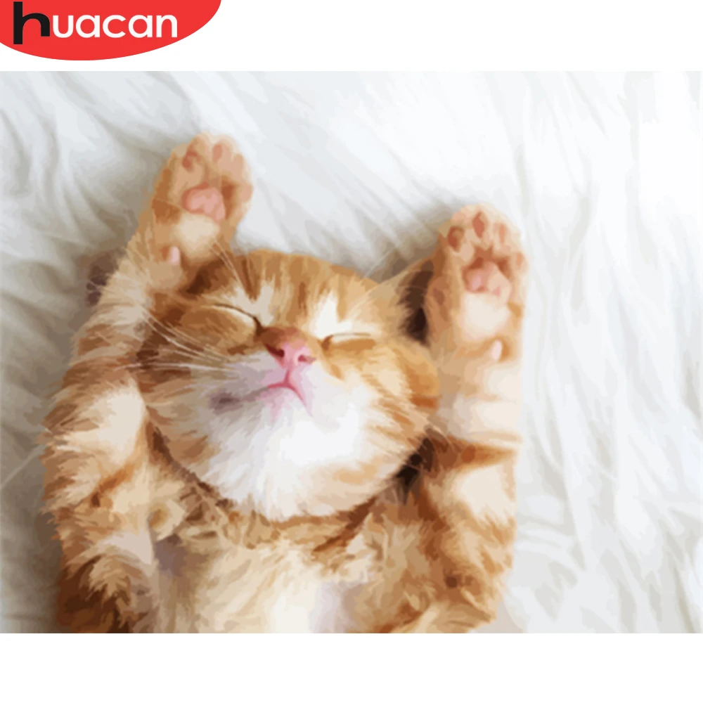 HUACAN картина по номерам животные Раскраска Кошка Холст Настенная акриловая