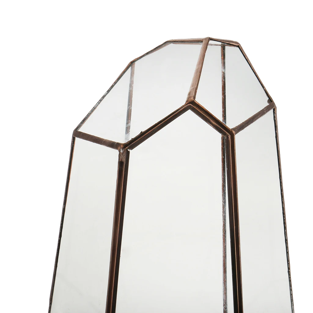 

Irregular Glass Geometric Terrarium Box Table Succulent Plant Planter M New
