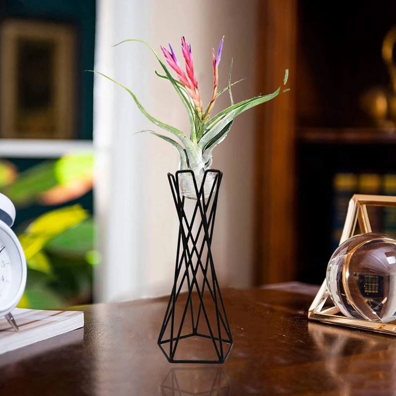 

2 Tabletop Metal Big Air Plant Holders Big Air Plant Stands Air Plant Containers Air Plant Racks Tillandsia Stands