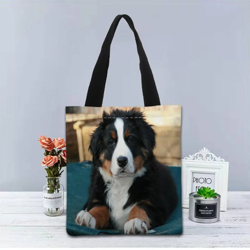 BerneseMountainDog,    ,         ,  -