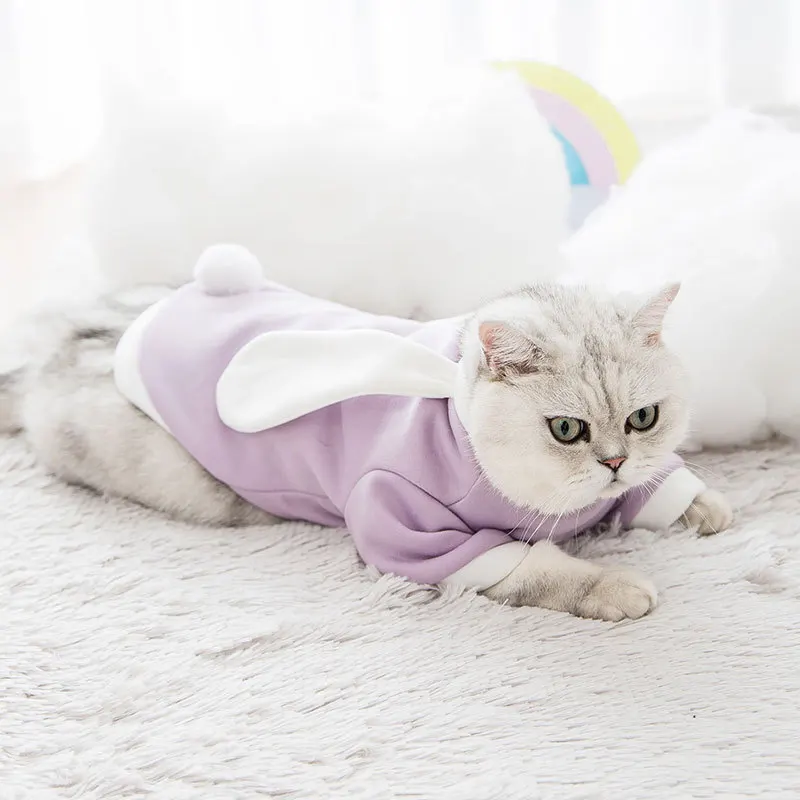 

New pet clothes cat clothes dog clothes autumn and winter cat and dog sweater cute holiday transform pet clothes