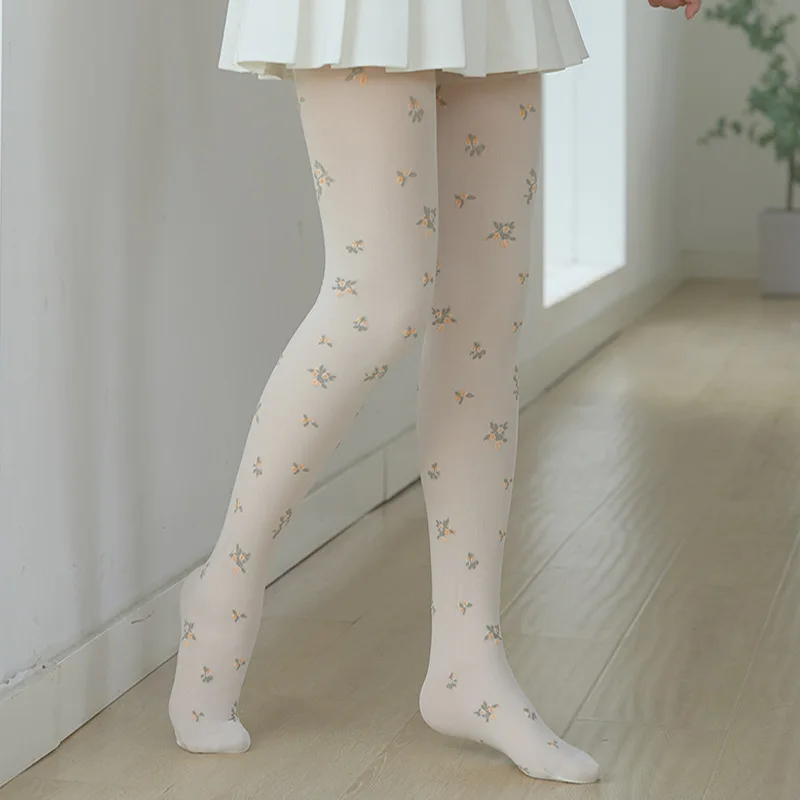 Winter New French Broken Jacquard Perspective Double-layer Thickened Plush Warm Silk Stockings Leggings Lolita Accessories Socks