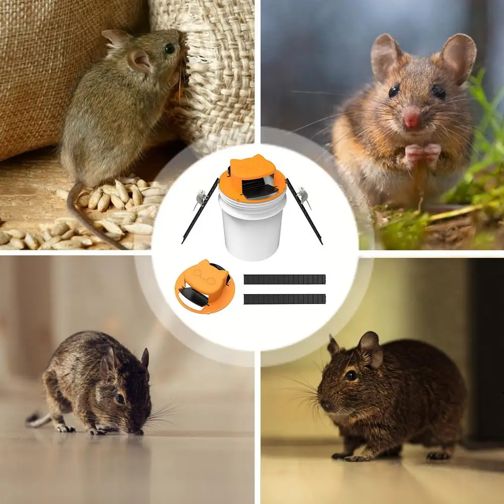 

Slide Bucket Lid Mouse Rat Trap Flip - Slide Mouse Trap Bucket With Compatible,Quick Effective Sanitary Safe Mousetrap Catcher