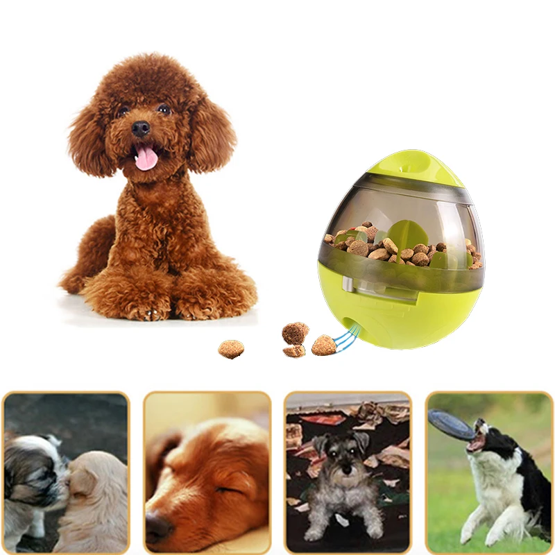 

New Tumbler Pet Toys for Dog Leakage Treat-dispensing Doggy Feed Dispenser Spilled Ball Interactive Fidget Toys Dog Accessories