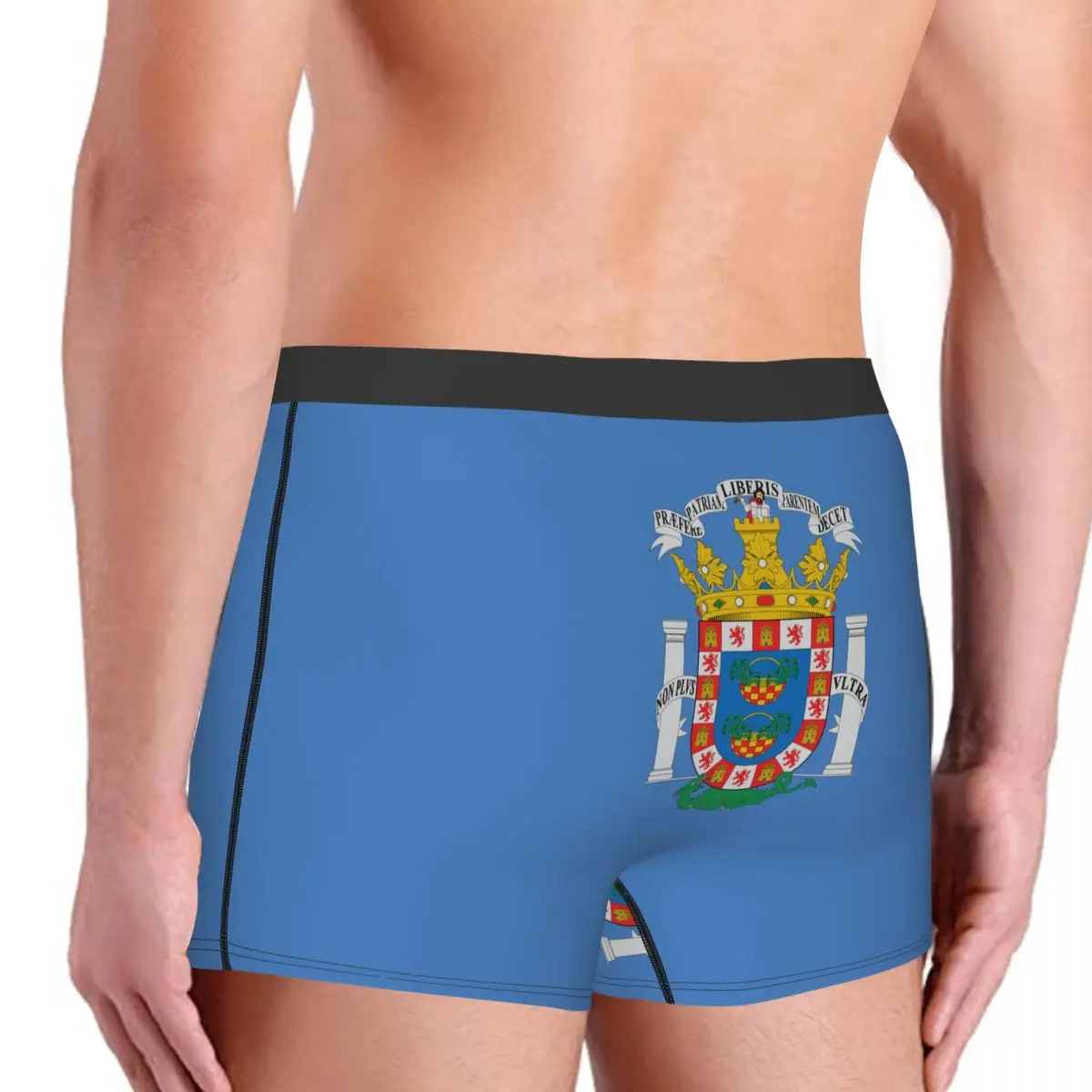 Flag Of Melilla Men's Boxer Briefs Flags of the autonomous communities of Spain Humor Graphic Men's boxer leggings
