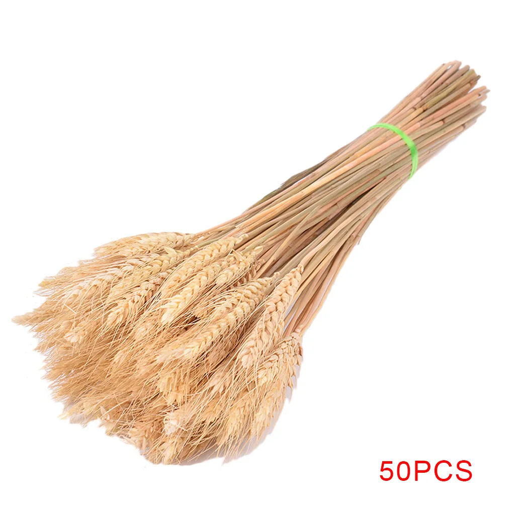 

50PCS Primary Color Wheat Ear Grass Dried Flowers Bouquets Natural Material Plant Stems Real Flower Shooting Props Wedding Decor